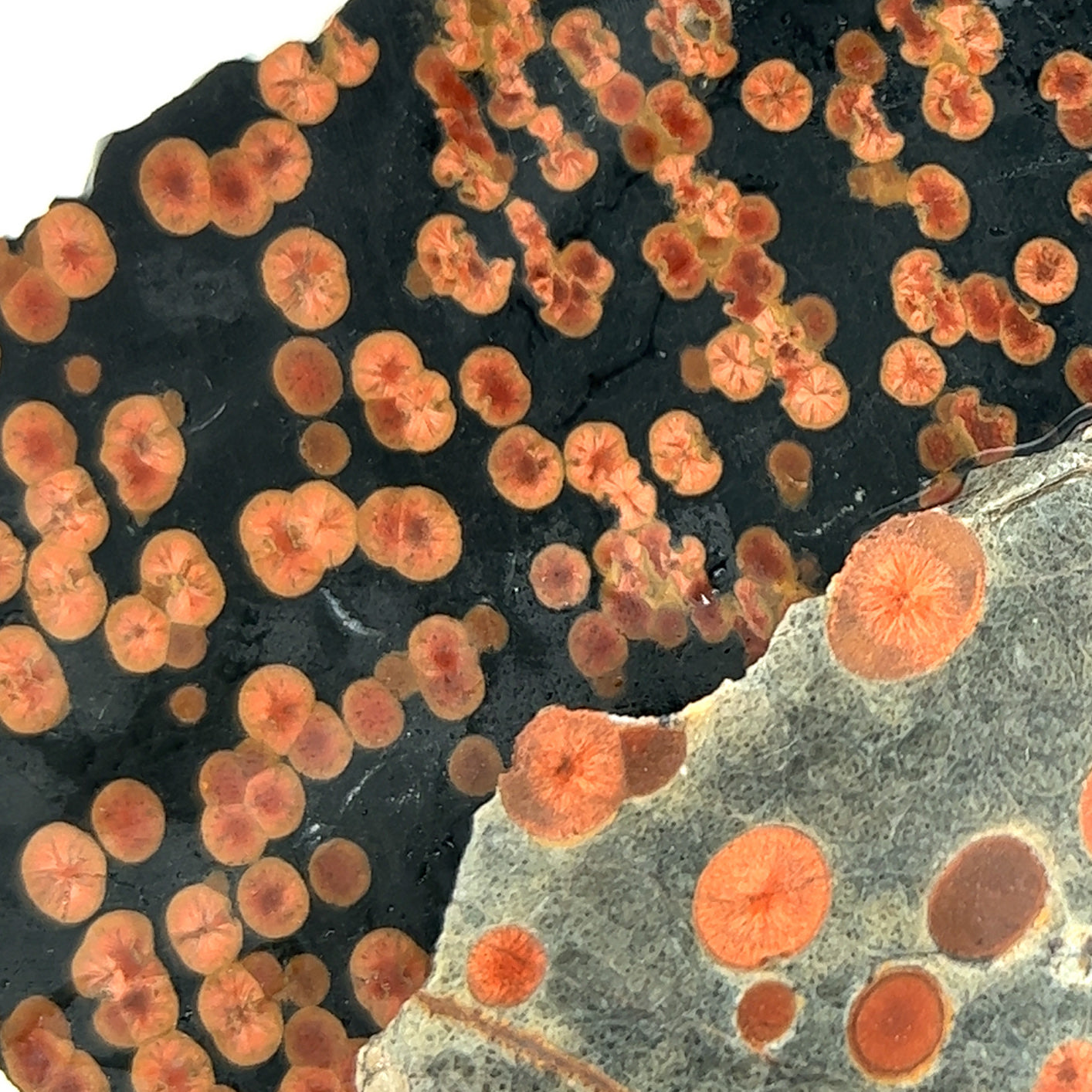 material: peanut obsidian