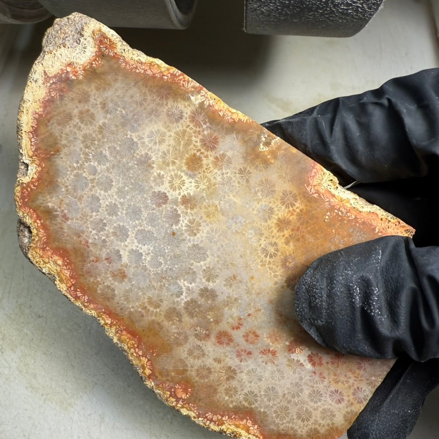 Fossilized Coral and Diamond Gold Moon Charm