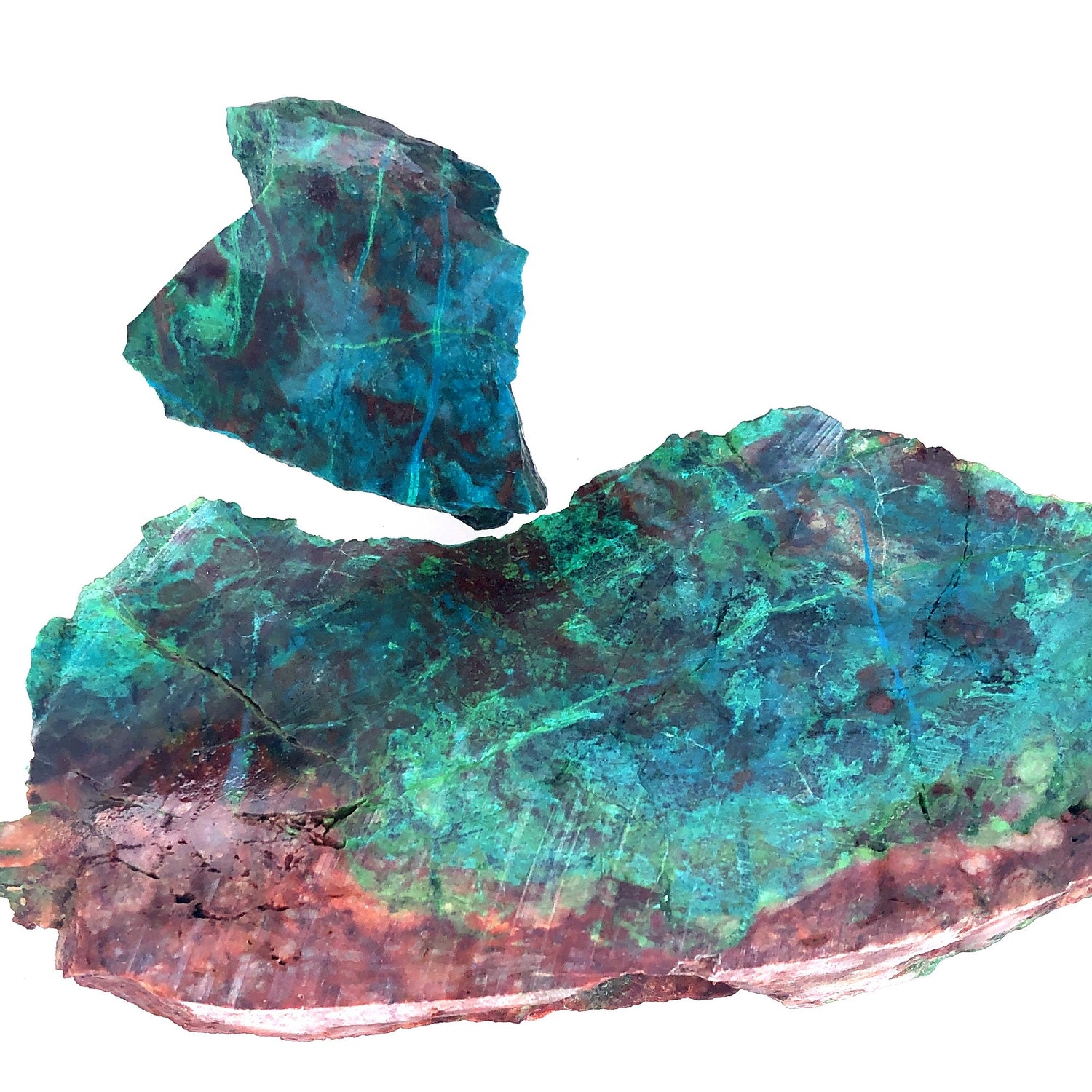material: parrot wing chrysocolla